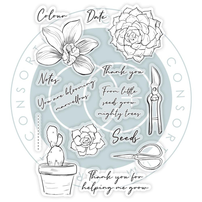 Botany Boutique Clear Stamps - Orchid