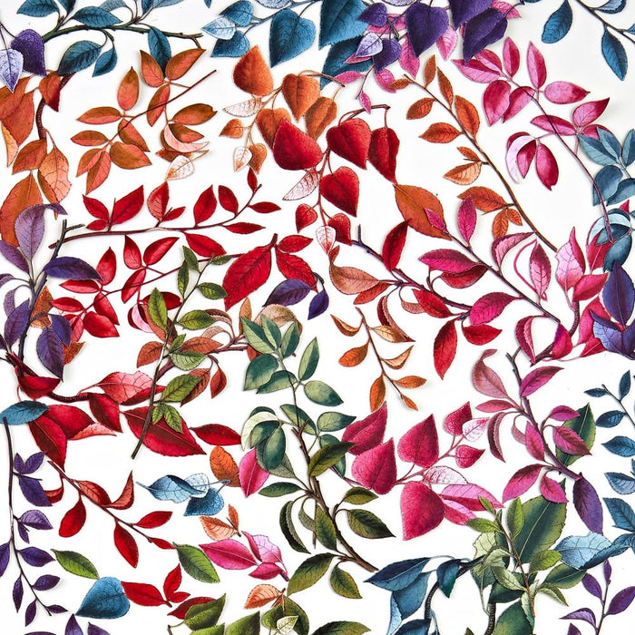 Spectrum Gardenia Laser Cut Outs - Leaves